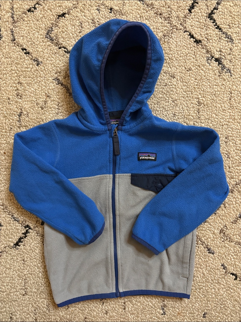 Patagonia kids Hooded Fleece Jacket (3T) EUC